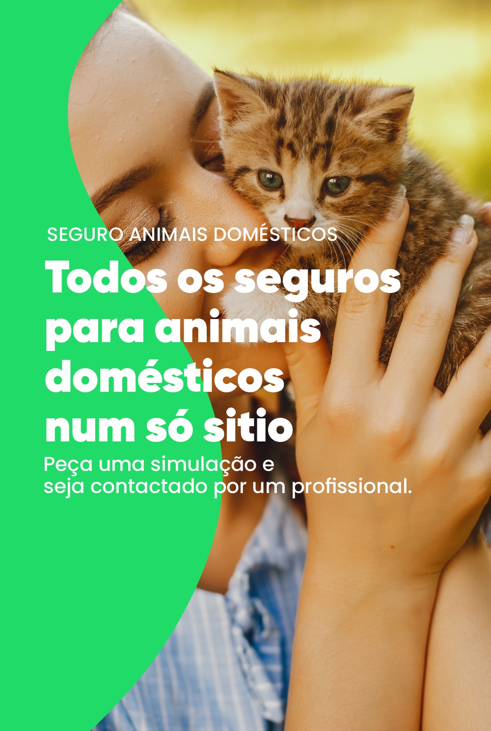 seguro animais braga