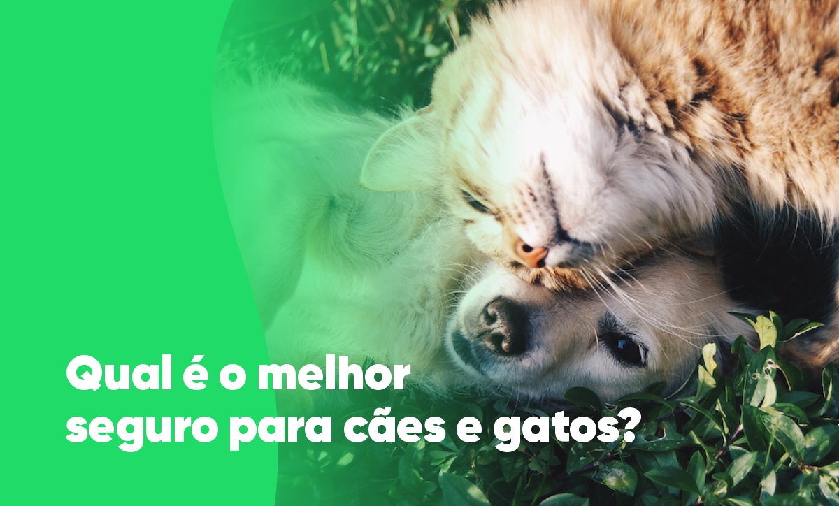 melhor seguro cao e gato